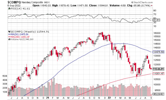 Focus on Stock Performance in an Inflationary Economy