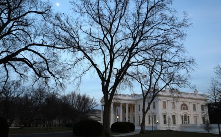 What does a second Trump term mean for investors?