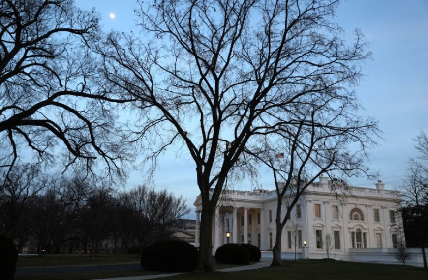 What does a second Trump term mean for investors?