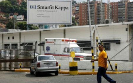 Paper & forest products 2025 outlook and top stocks to own