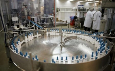 3 reasons Bernstein strategists are bullish on the EU pharma sector into 2025