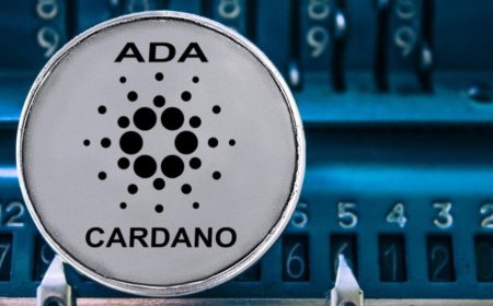 Cardano gains real voting power with Plomin hard fork