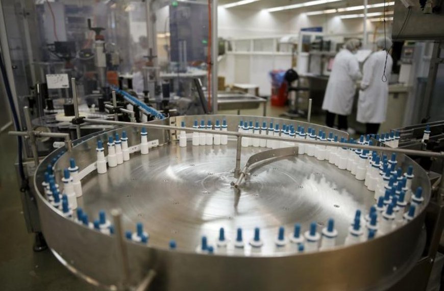 3 reasons Bernstein strategists are bullish on the EU pharma sector into 2025