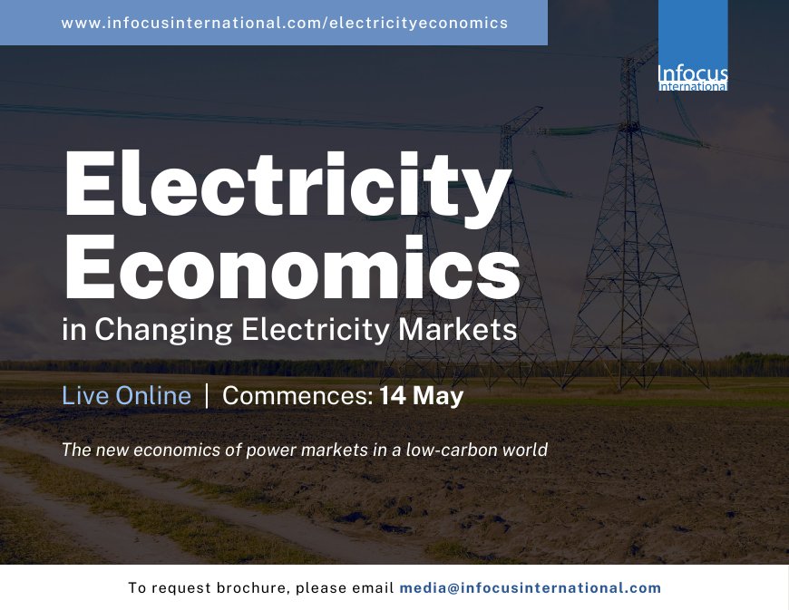 Electricity Economics in Changing Electricity Markets