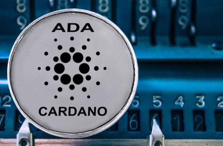 Cardano gains real voting power with Plomin hard fork