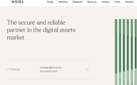 Hodl Management Limited