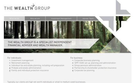 The Wealth Group