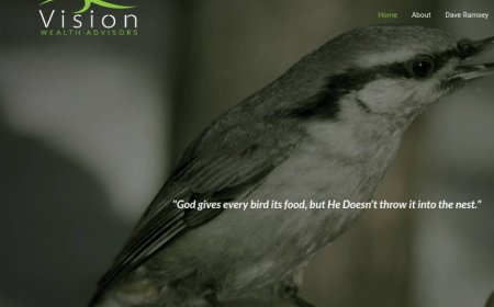 Vision Wealth Advisors