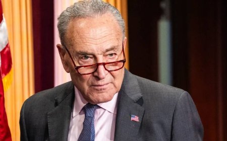 Trump tariffs: Elon Musk calls Peter Navarro ‘dumber than a sack of bricks’