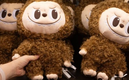 China bans banks from luring customers with popular Labubu dolls