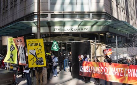 World’s largest banks pledged $869bn to fossil fuel firms in 2024, new report finds