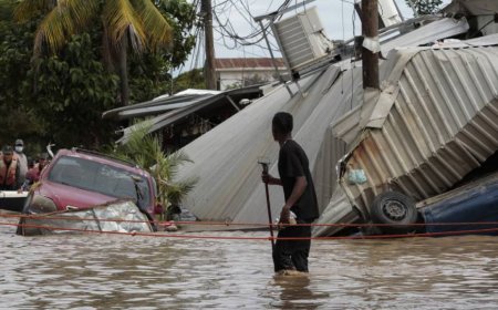Bank unveils green loans plan to unlock trillions for climate finance