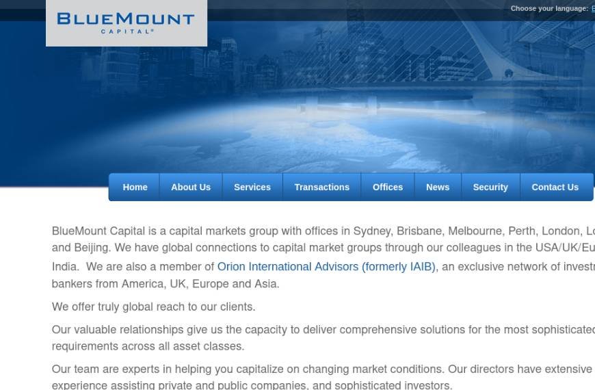 BlueMount Capital