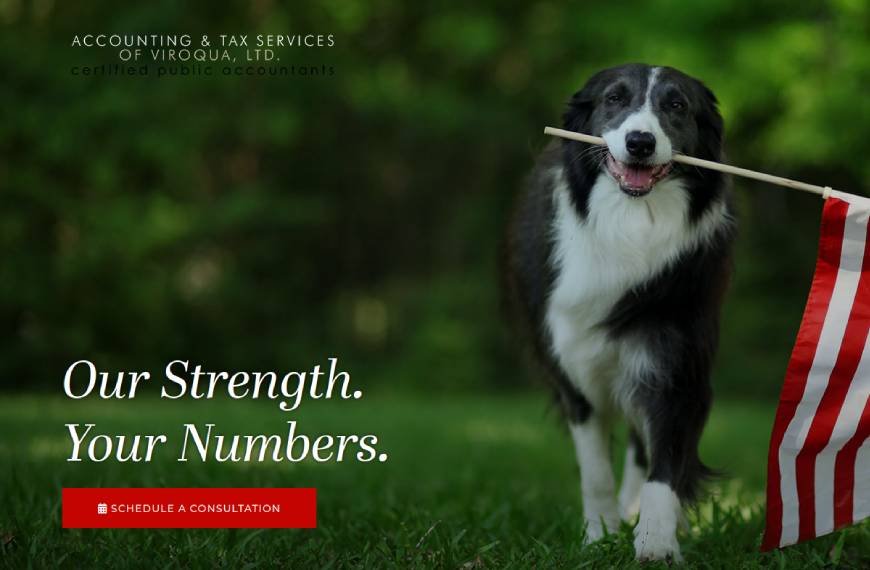 Accounting & Tax Service Viroqua, Limited