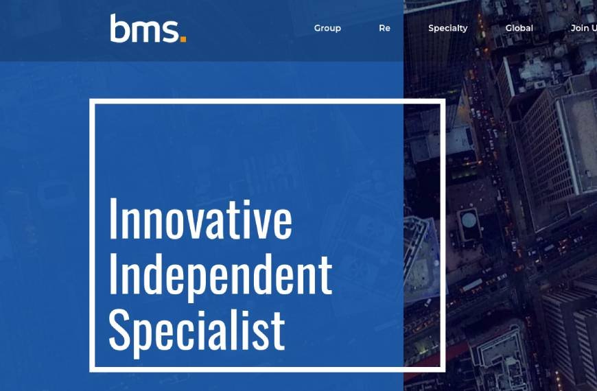 BMS Capital Advisory, Inc.
