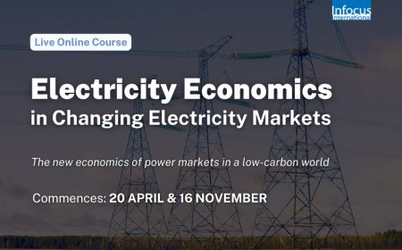 Electricity Economics in Changing Electricity Markets