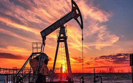 Here’s why surging oil prices may not derail the consumer trade