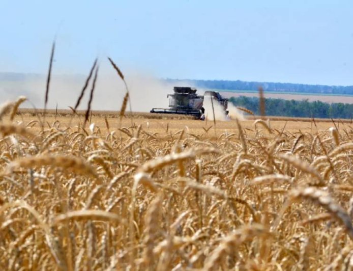 Corn and wheat prices jump to highest prices in more than three years