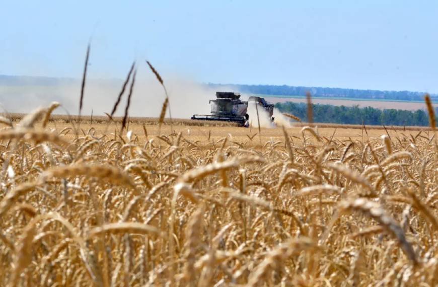Corn and wheat prices jump to highest prices in more than three years