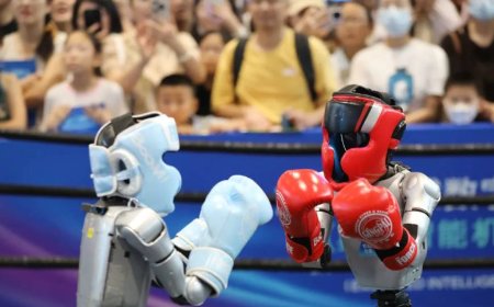 China has three new criteria for humanoid robot IPOs. Few, if any, meet them