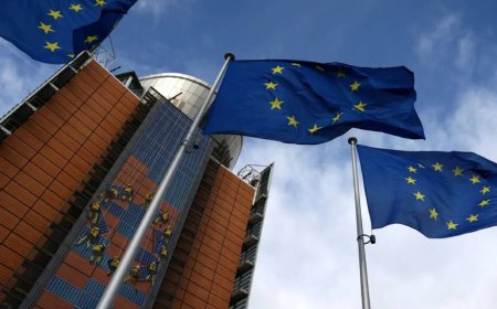 China indicates rare earths will keep flowing to EU, regardless of U.S. trade deal expiration