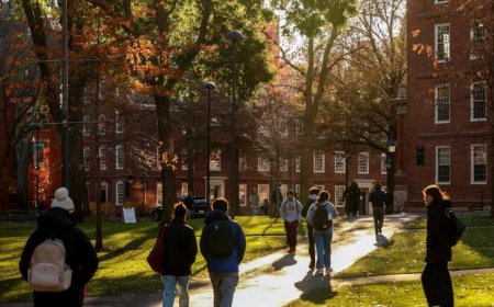 Harvard’s endowment jumps 27% in fiscal 2026, lifted by SpaceX as top holding